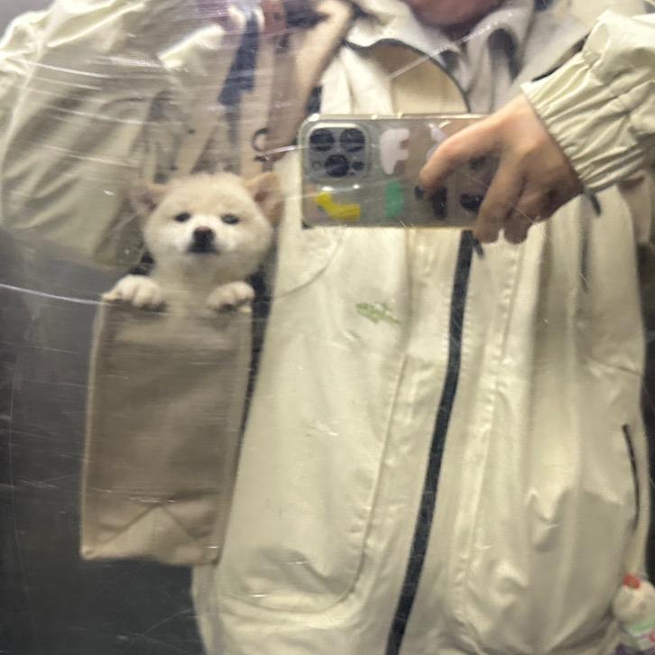 유미𝒚𝒖𝒎𝒊🧡