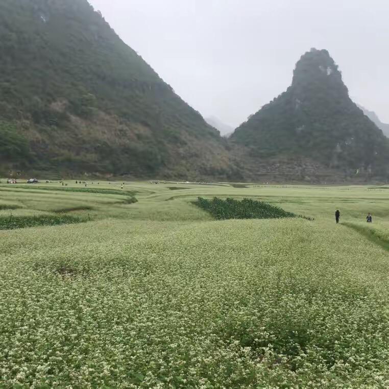 用户无语