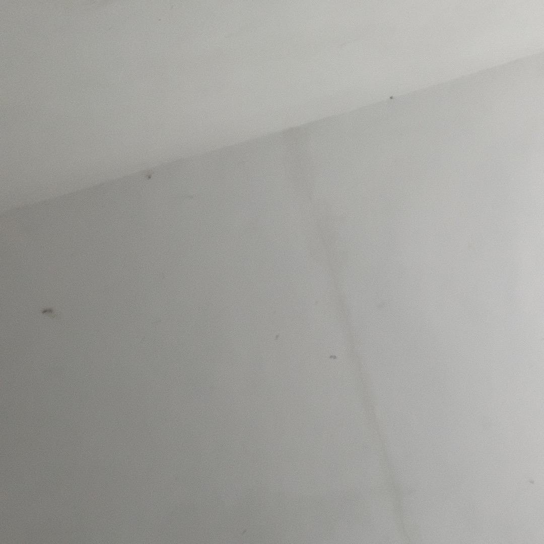 清水