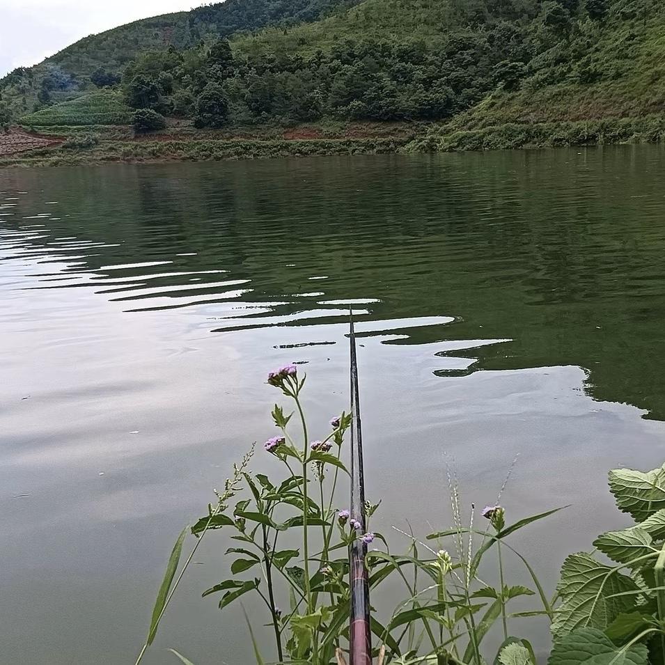 捞翁之铺