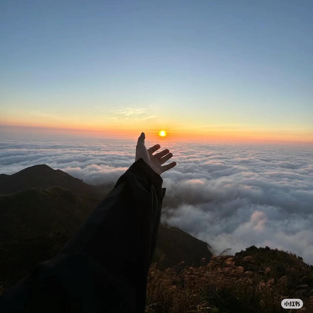 淡然.坦然