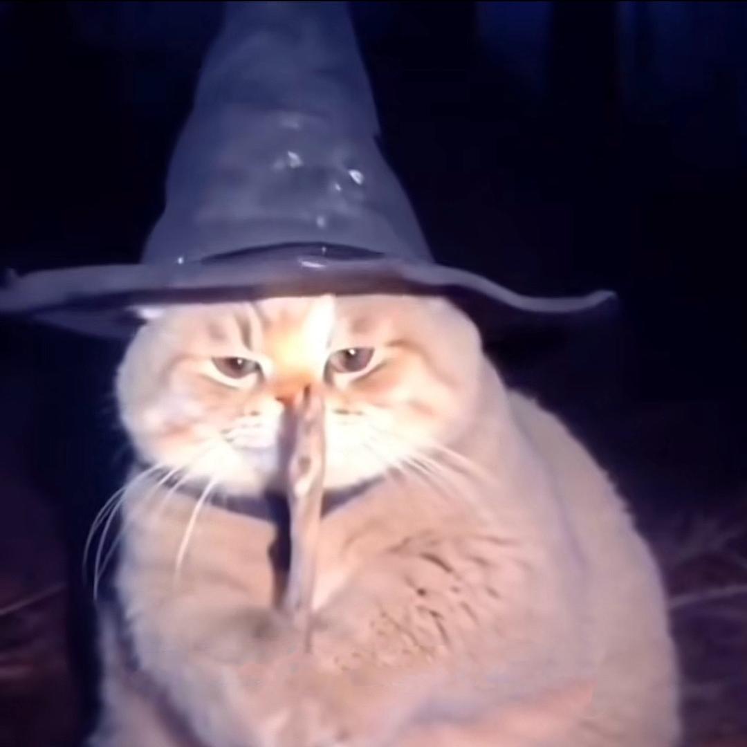 快乐小猫日志