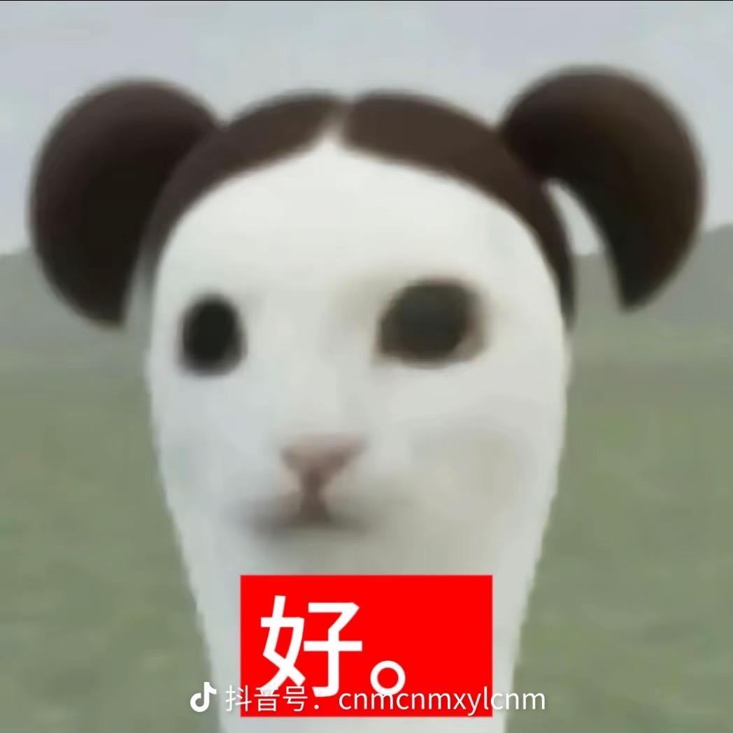 冉汀兰。