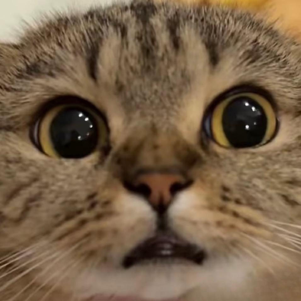 Ttttt