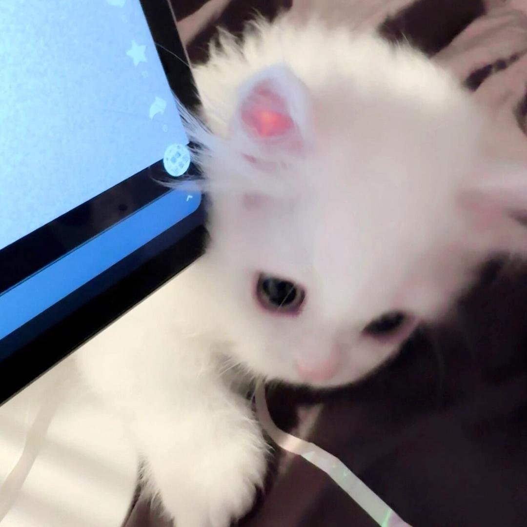 百变小瑜