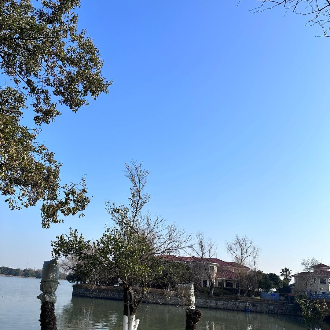 什么传媒