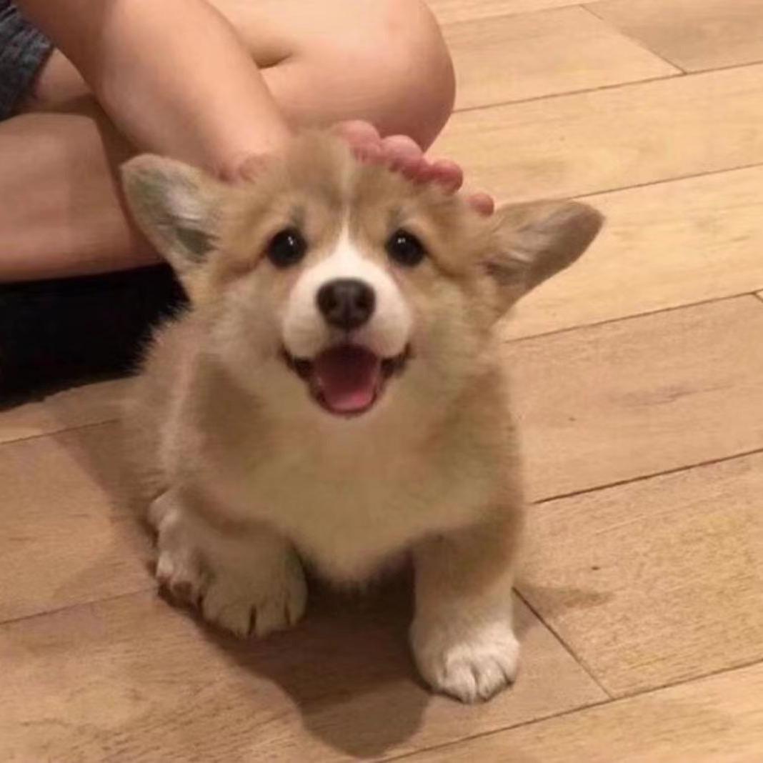 好想睡觉😪