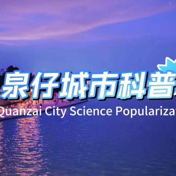 泉仔城市科普
