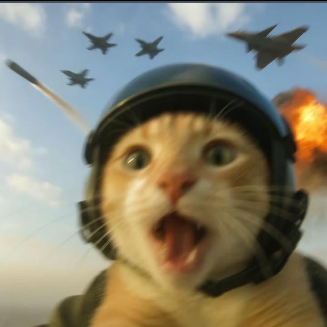 🐳鲸鱼不是黑眼圈🧧