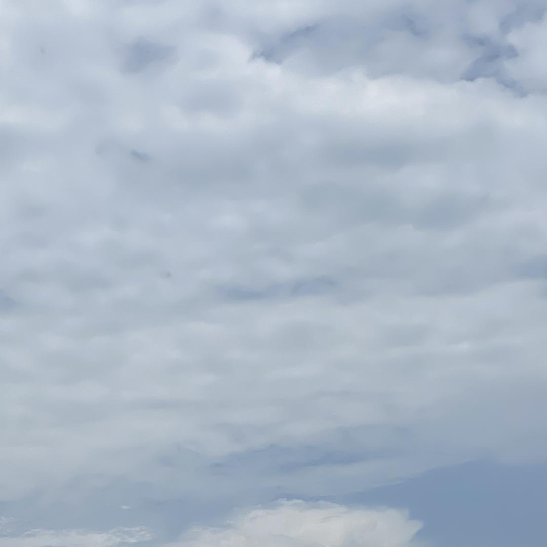 噢噢百货