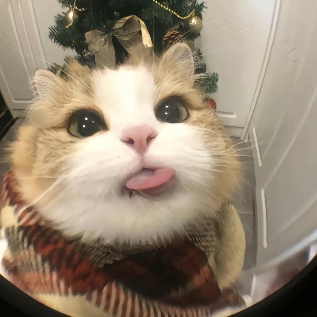 小唐名宠（客服号）