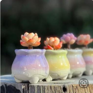德化县鹿尾巷陶瓷文化工作室