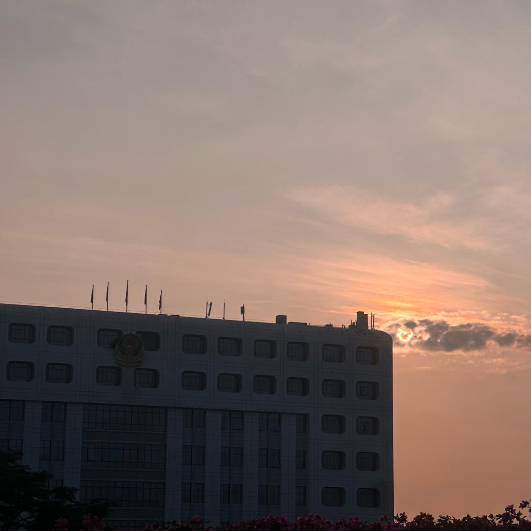 大黄毛不喜欢喝奶茶