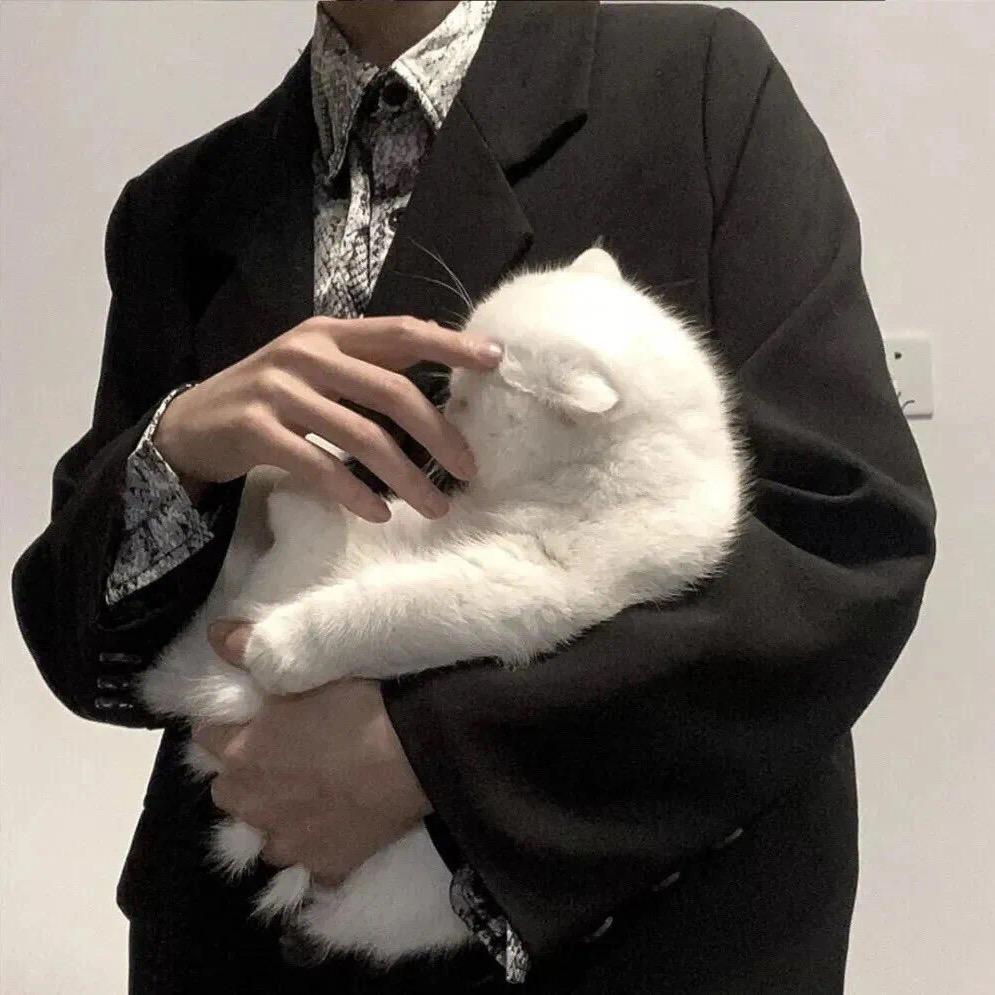 呆@