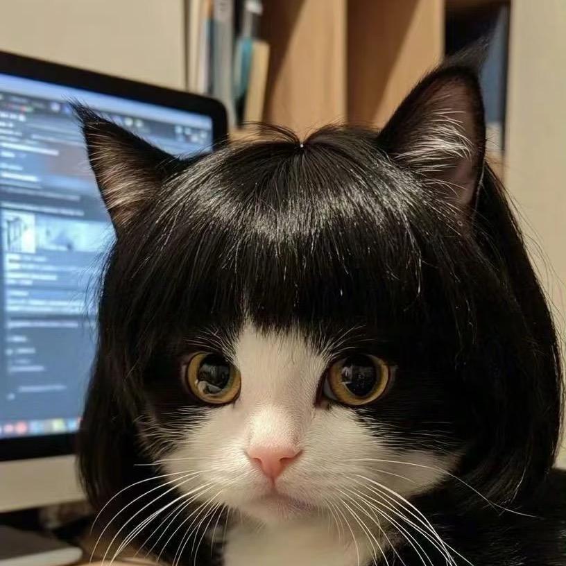 插画师杨猫猫🐱