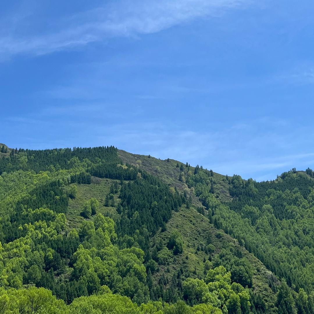 山外有山
