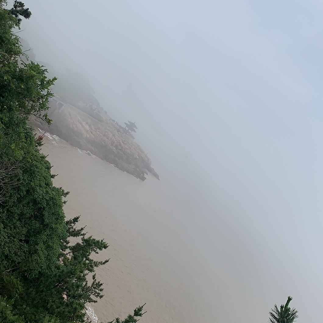 赵丹