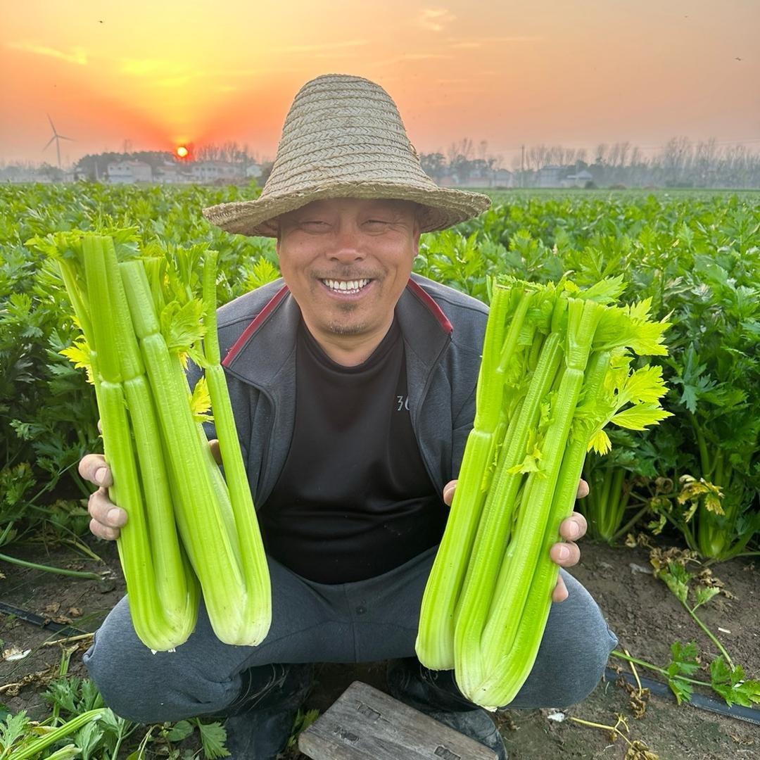 小老头生鲜