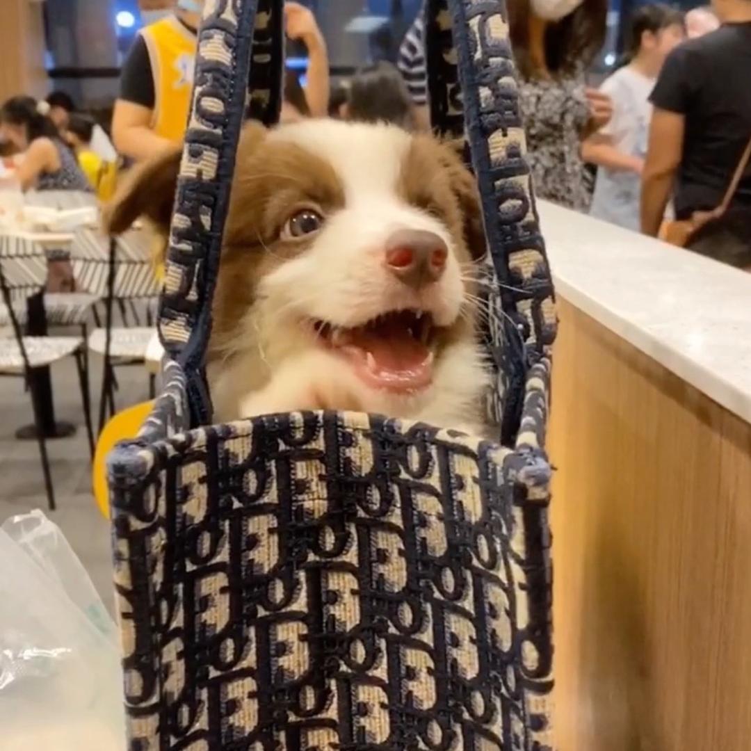 去the bridge吃🍜