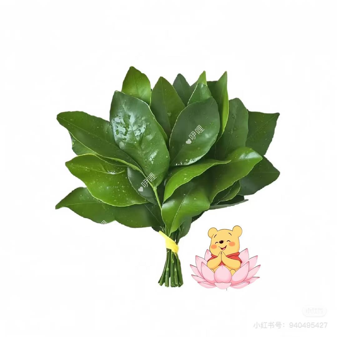 星星点灯