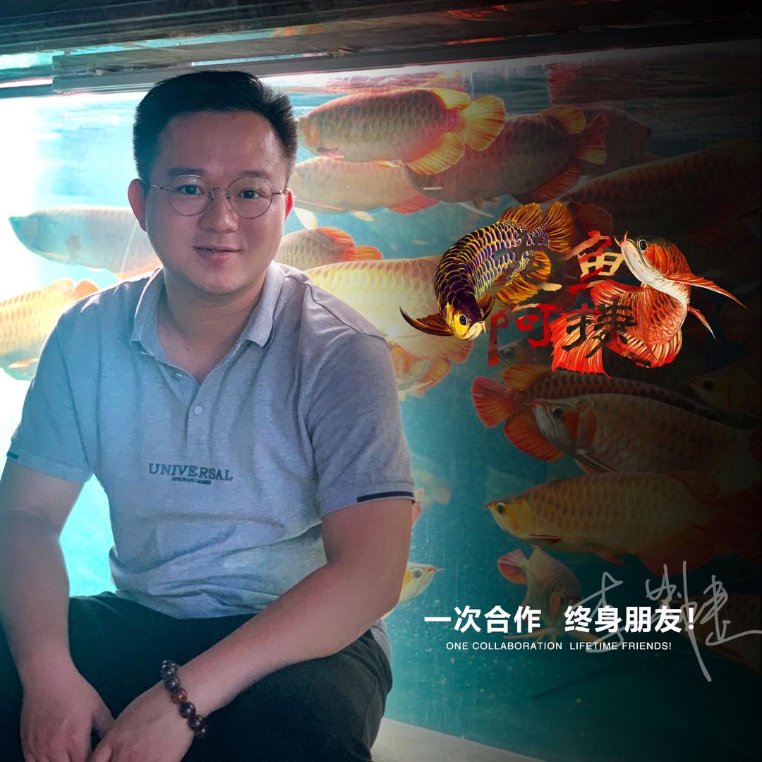 龙鱼阿捷