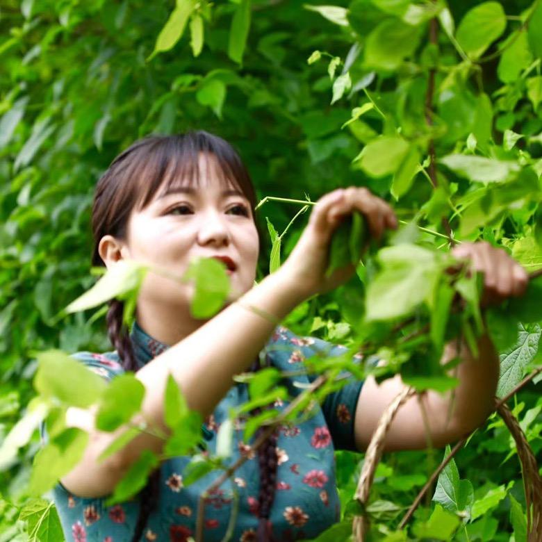 陕南锅巴姐（豆腐柴锅巴创始人）