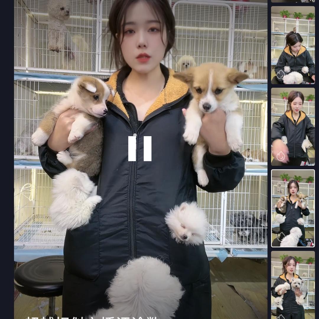 上尚宠物产地批发零出