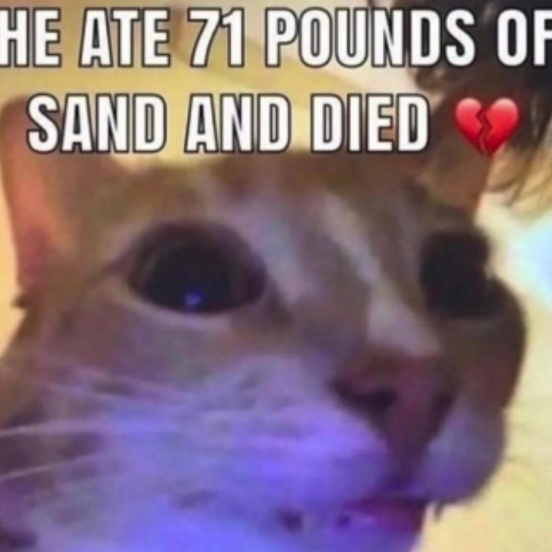 😭