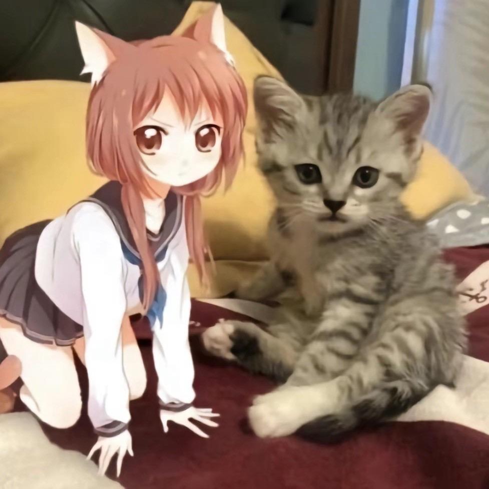 子猫