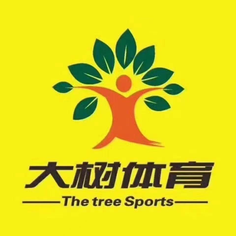 大树篮球训练营