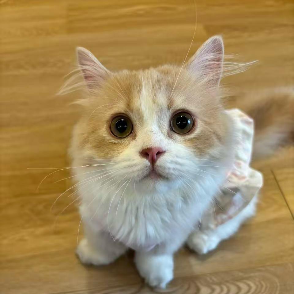 生活顺遂
