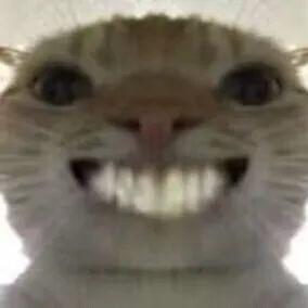 清灯煮茶