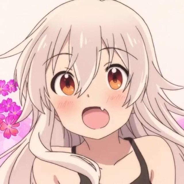 猪大大（破300W粉）