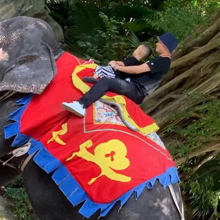 小峰说胶水