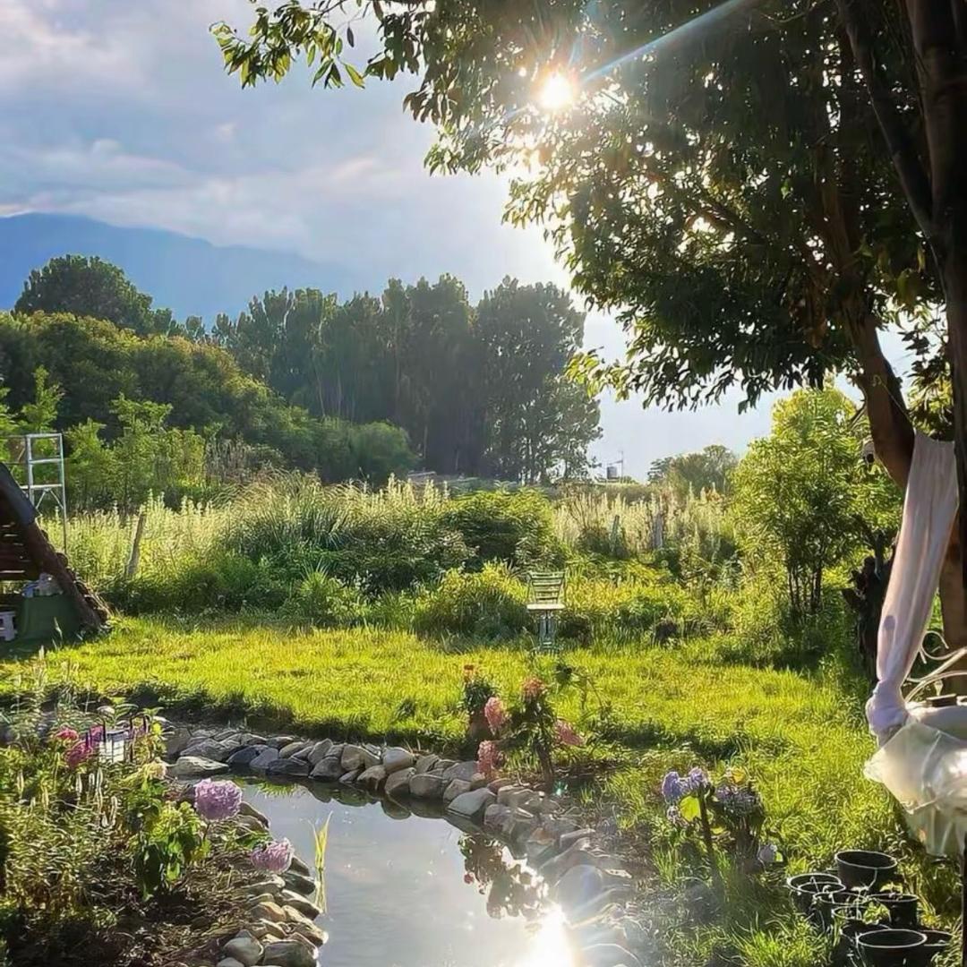 酒店甄选｜听宝儿说