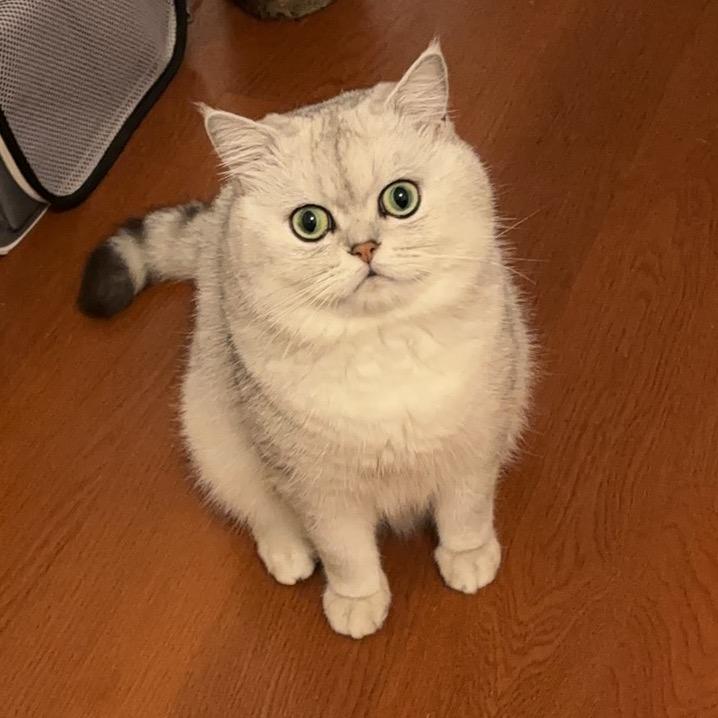 广州铭达商业运营有限公司