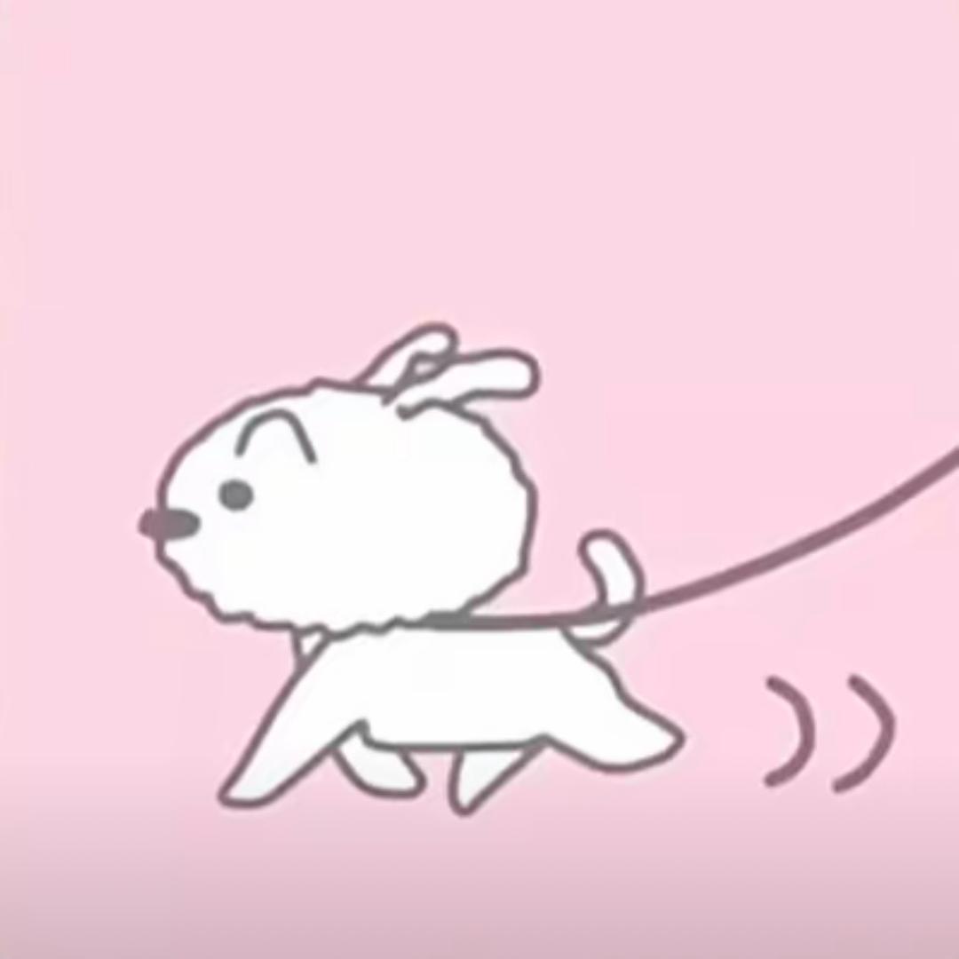 肥肥