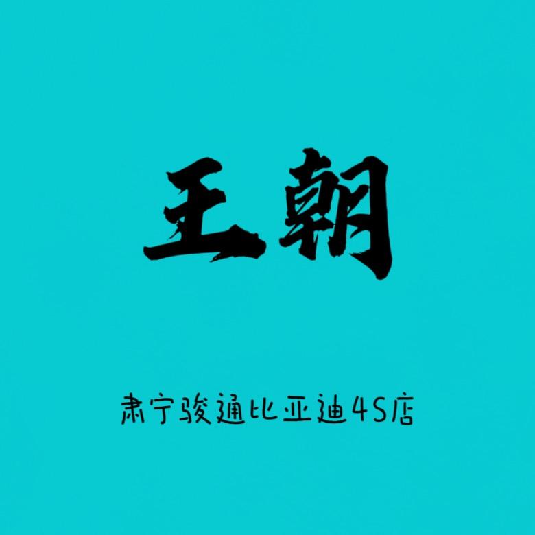 比亚迪肃宁骏通4S店