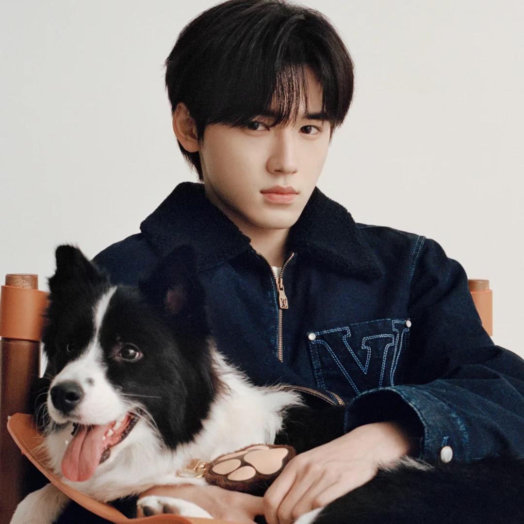 南京尊宝犬舍（高端边牧）