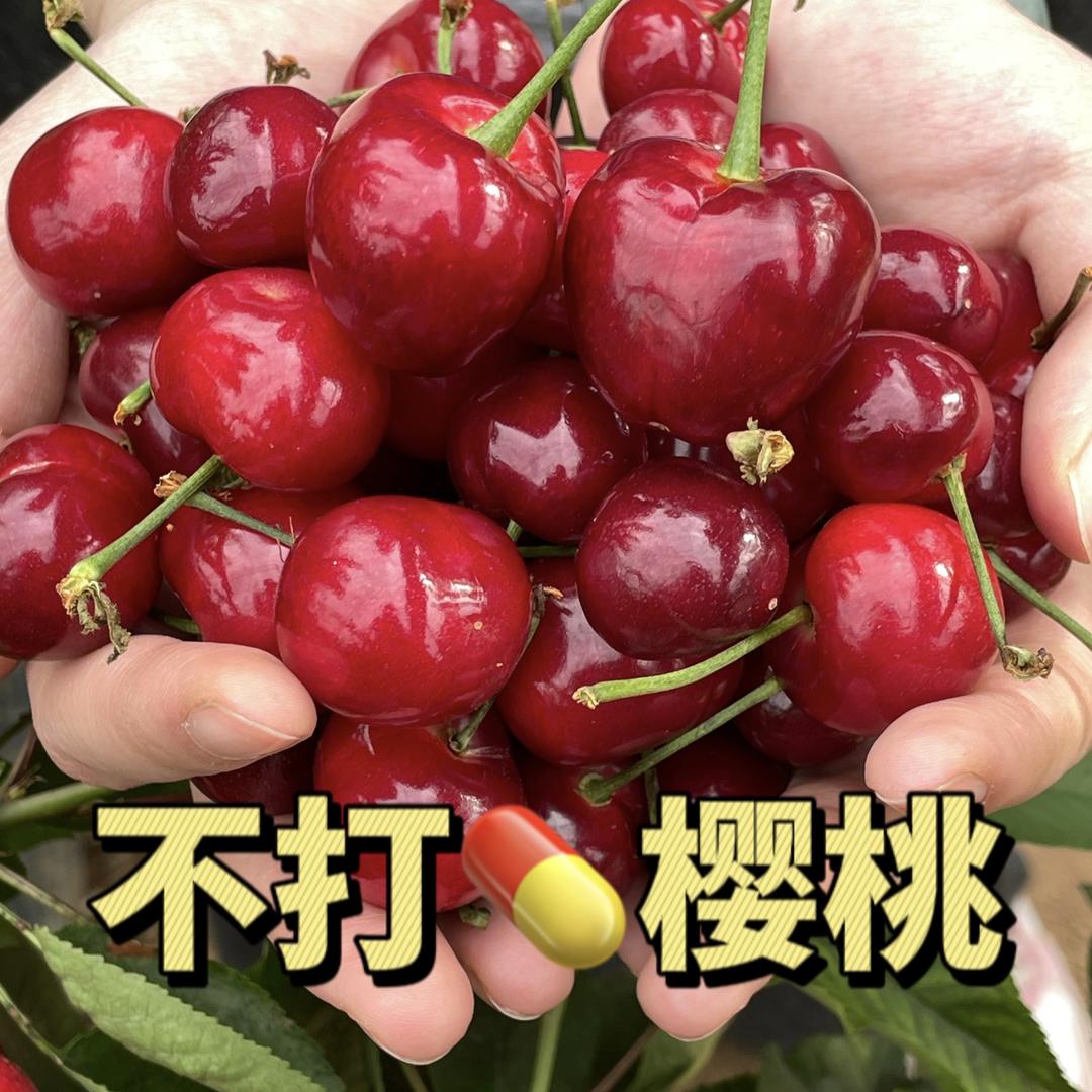大樱桃星球