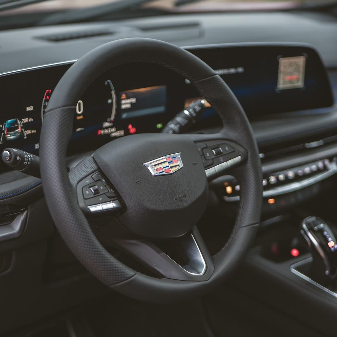 开凯迪的程小野