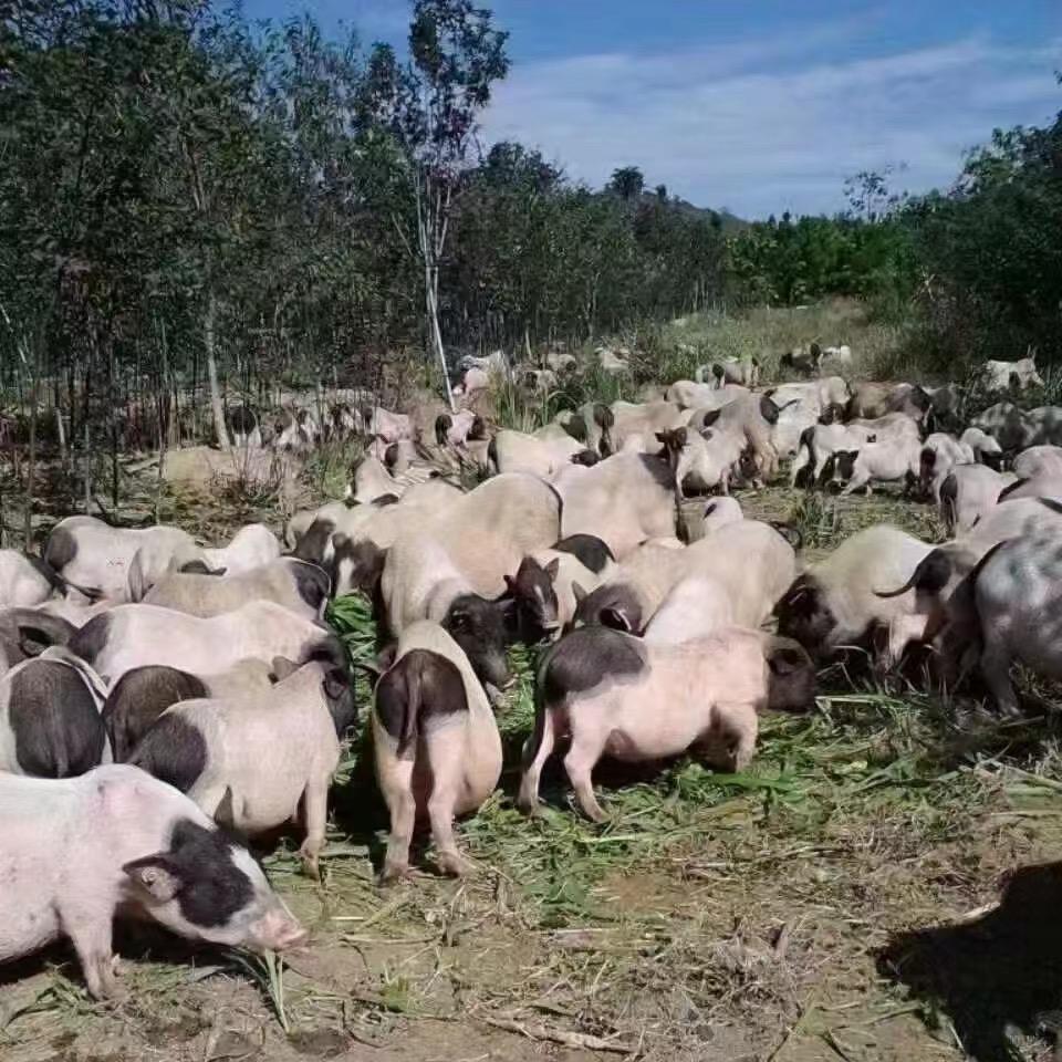 96945907188