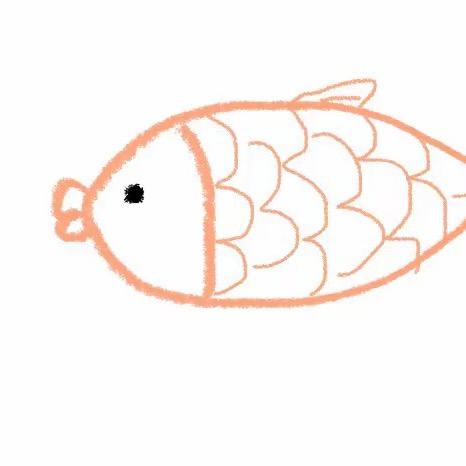 鱼小丸