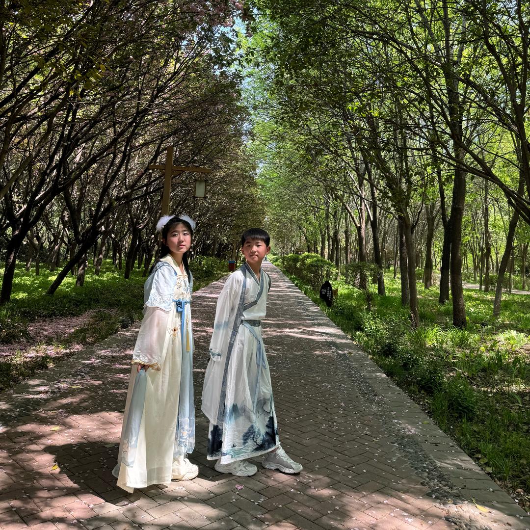 🍃林间清风🍃