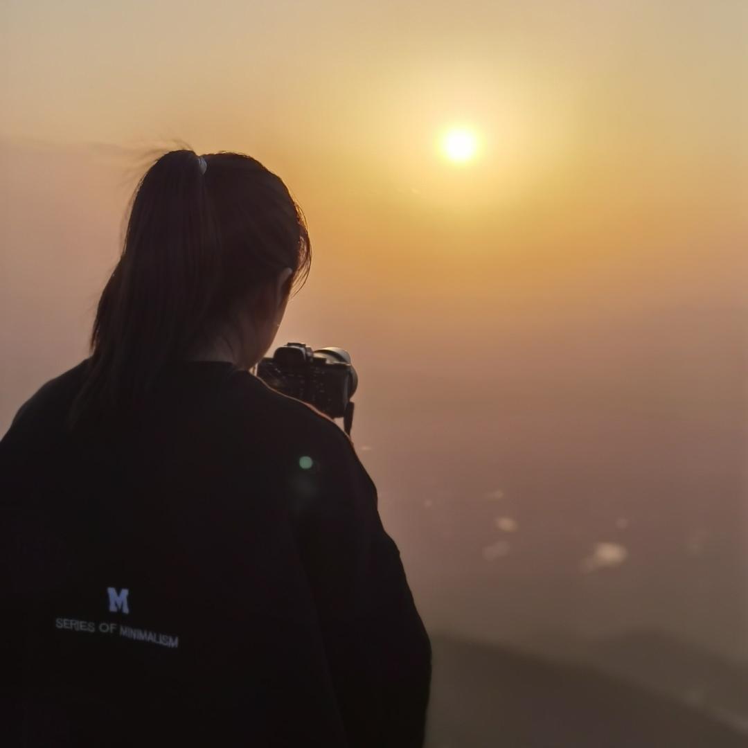 娇生惯养的流浪猫