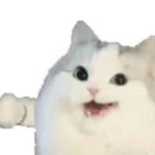 万事顺心