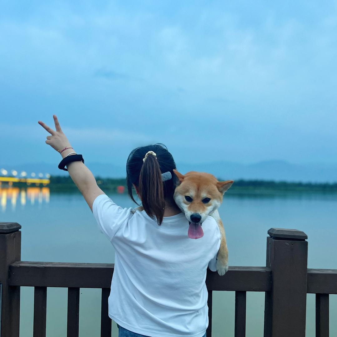 快乐小云