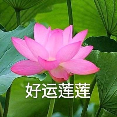 百万是个好青年