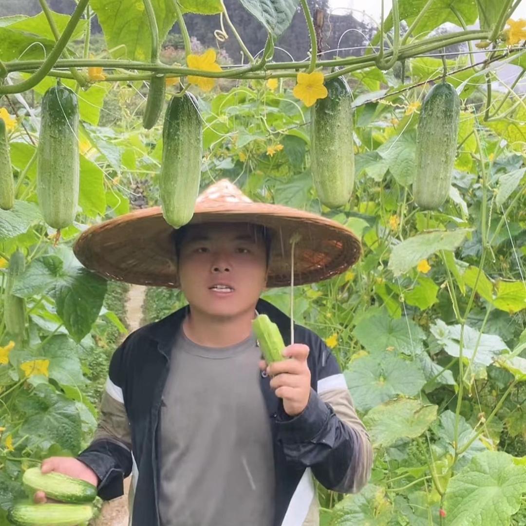 @云南大徐