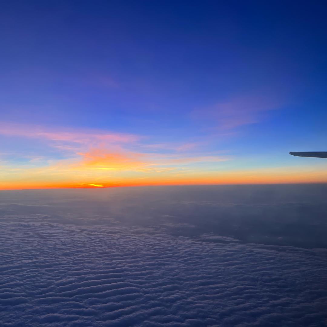 一个小小的种子